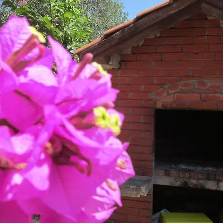 Apartmani Carmen Bibinje Room photo