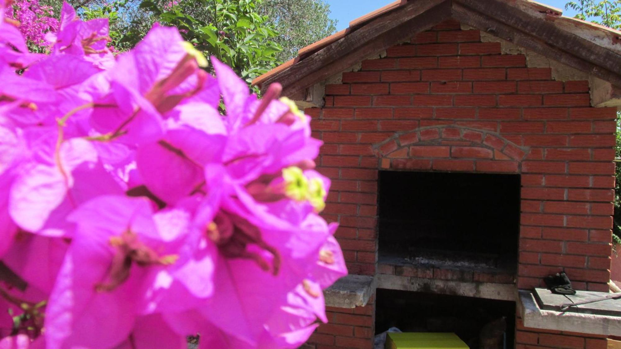 Carmen Apartment Bibinje